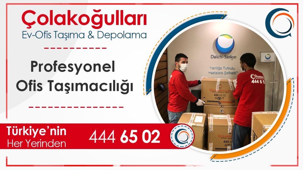 Holding Taşımacılığı