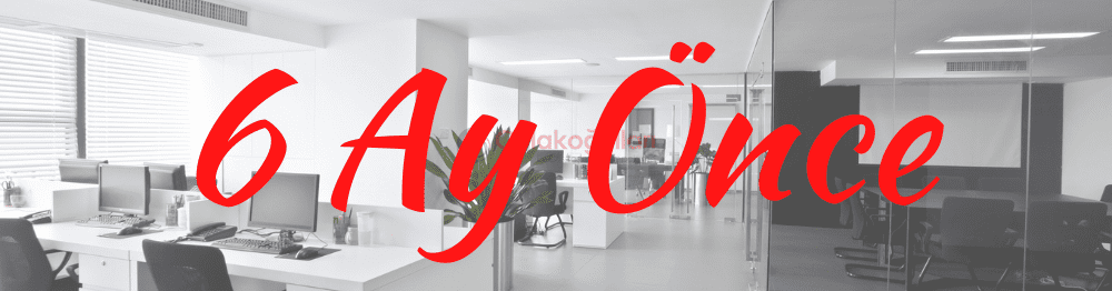 Uluslararası Ofis Taşımacılığı
