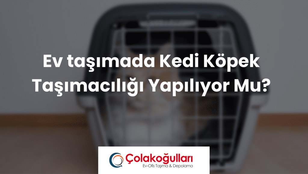 Ev taşımada Kedi Köpek Taşımacılığı Yapılıyor Mu?